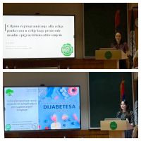 04. DiaSulFer-projekat-svetski-dan-dijabetesa